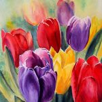Színes tulipánmező