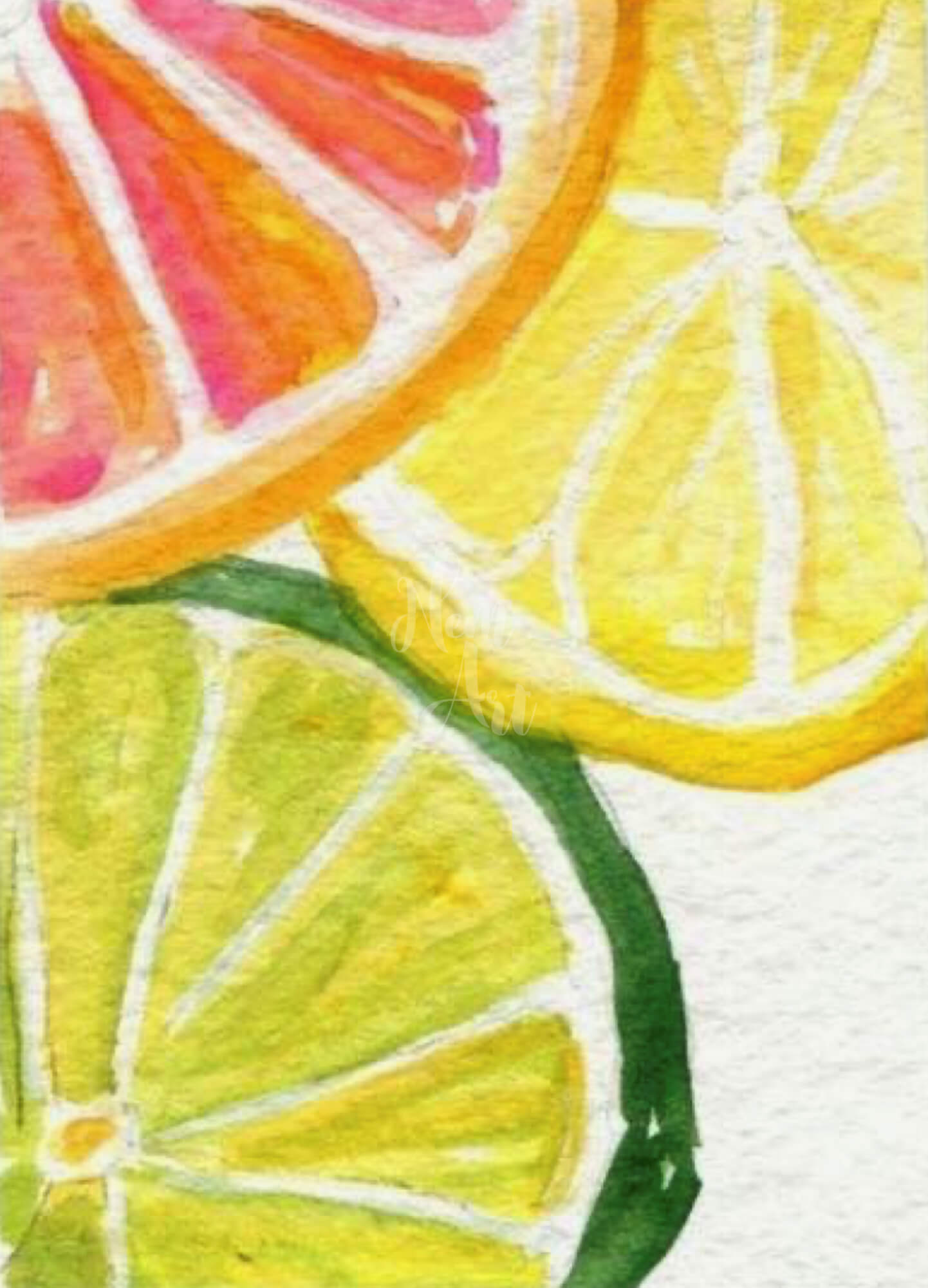 citrus gyümölcsök
