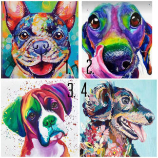 a kép 4 kutyát tartalmaz, francia buldog, tacskó, boxer, border collie, vegyes színekkel