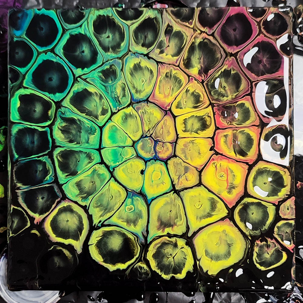 Fluid Art Workshop B (07.06.)