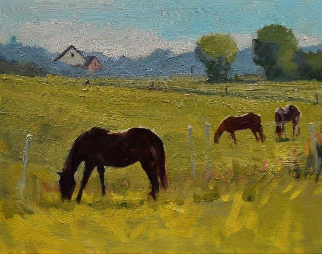 Legelő (01.14.)