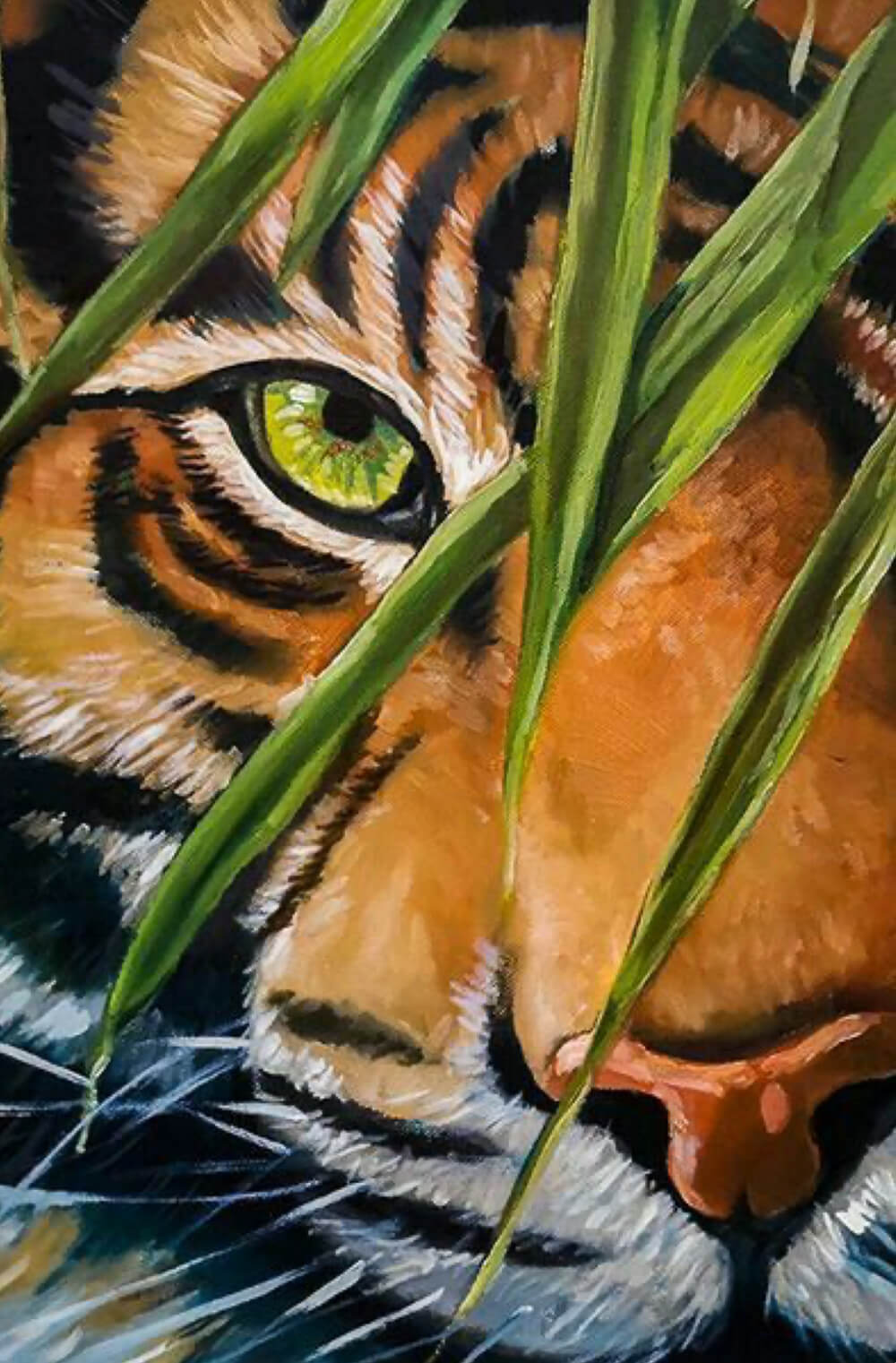 A tigris szeme (06.08.)